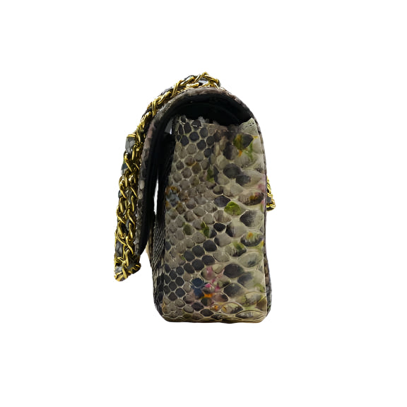 Nicolas of Palm Beach Python – (Flower)